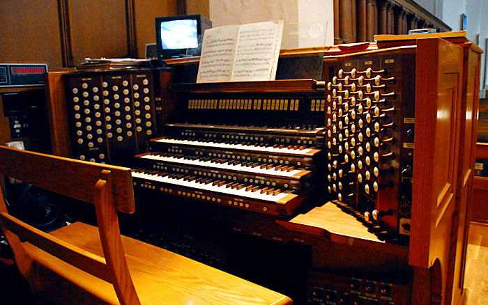 Organ