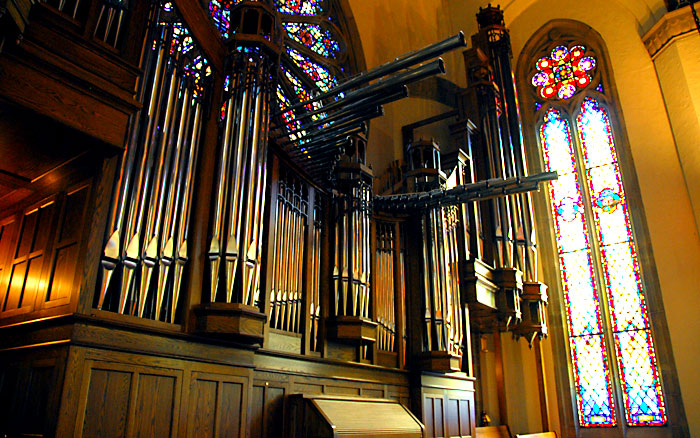 Organ in Back